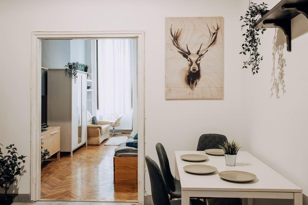 Big Apartment In The City Centre Budapest Kültér fotó