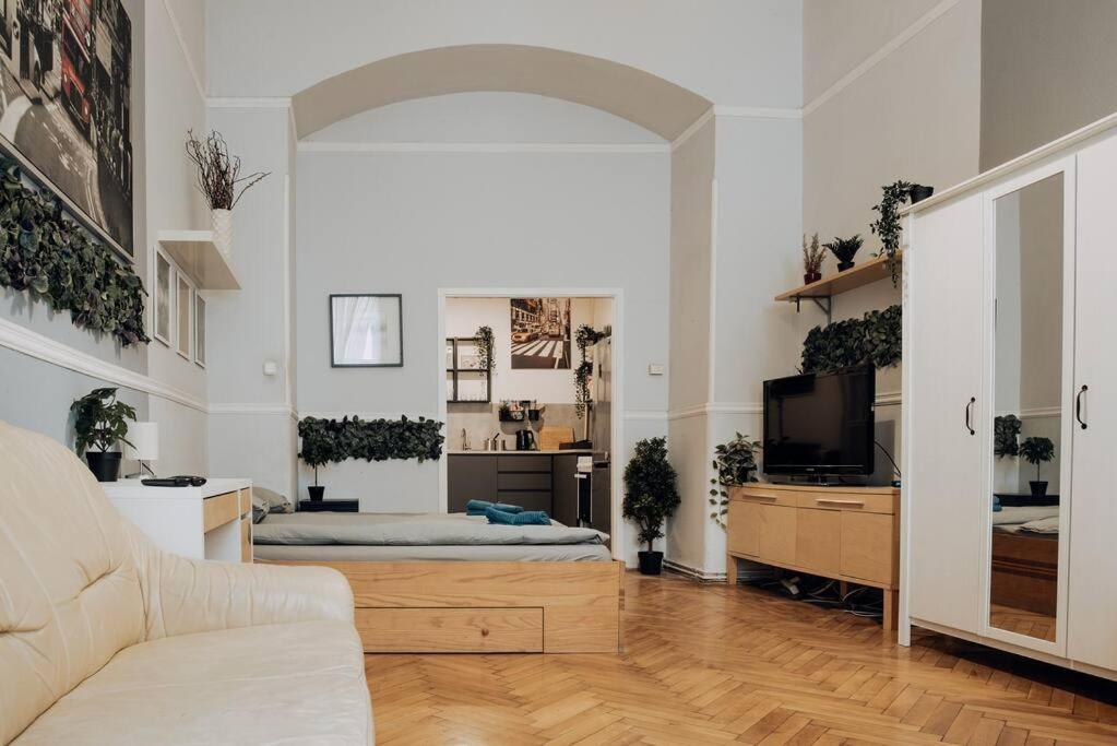 Big Apartment In The City Centre Budapest Kültér fotó