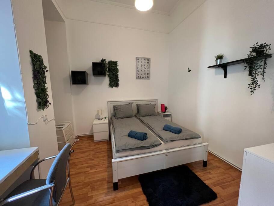 Big Apartment In The City Centre Budapest Kültér fotó